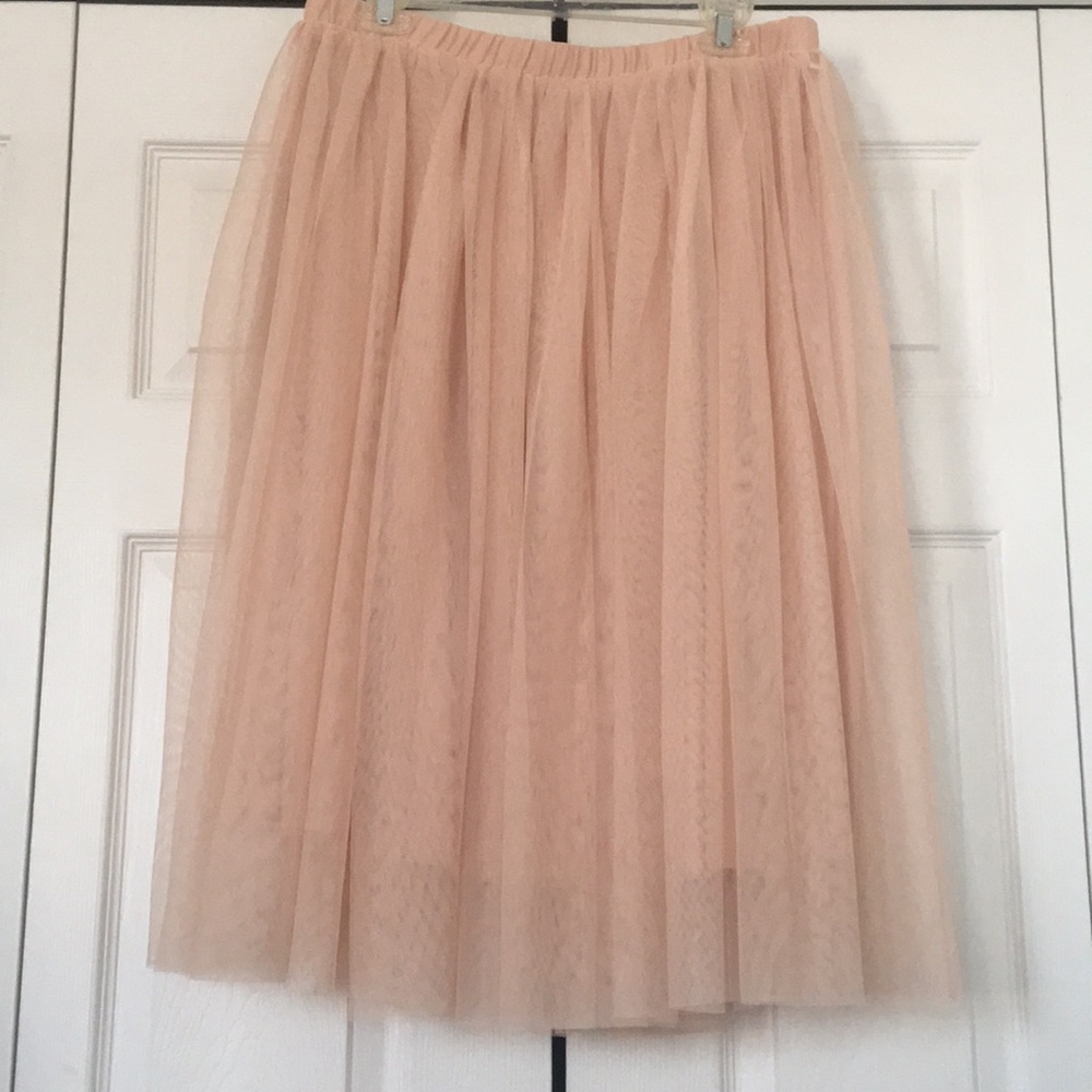 Target Tulle Skirt